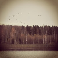 Lomailua Vehkajärvellä