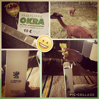 Okra-maatalousnäyttely