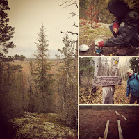 Torronsuon seikkailuja