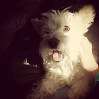 Pääsiäisen fiiliksiä Vehkajärveltä