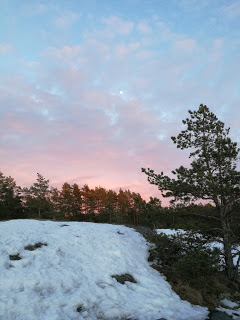 Frisbeegolfausta Liedossa