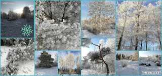 Sulkapallon jälkeistä seikkailua Samppalinnan puistossa