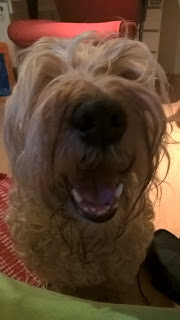 13 mahtavaa vuotta saimme yhdessä kokea. 