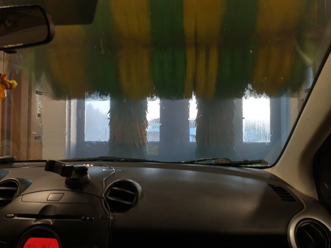 Pikku sammakko pääsi ekaa kertaa pesuun sitten omistajan vaihdoksen 