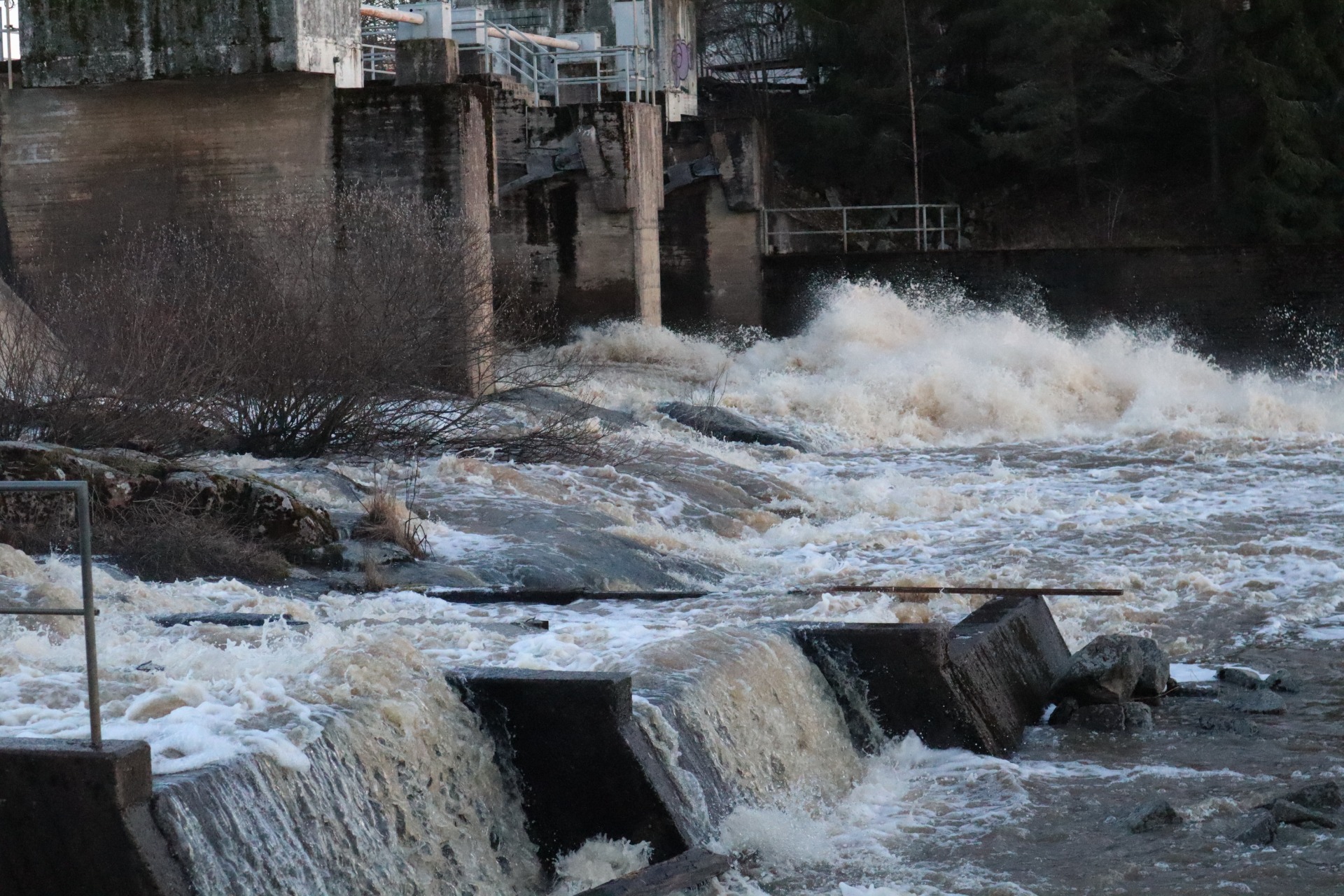 Kosken pauhua Halistenkosken padolla